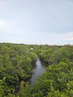 Pelican Island National Wildlife Refuge by null