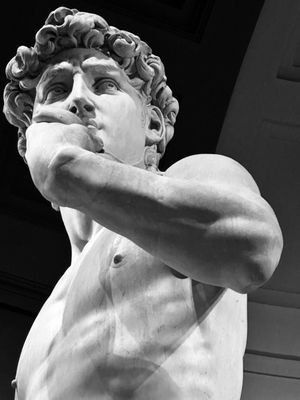 Galleria dell’Accademia di Firenze by null