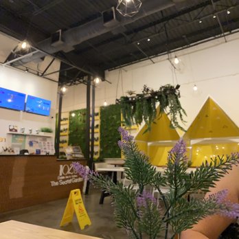 1102 Bubble Tea & Coffee - Hanging vinyl plants in the background - Bubble Tea Near Me - Waco, Texas 1102 Bubble Tea & Coffee - Hanging vinyl plants in the background - Bubble Tea Near Me - Waco, Texas