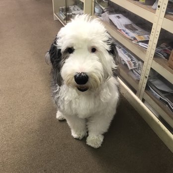 Wet Pet Outlet - Pet Stores Near Me - Eldora, Iowa