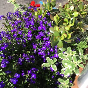 Farm : Table - Coffee & Tea Near Me - San Francisco, California