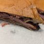 Photo of Bread Box Handcrafted Sandwiches