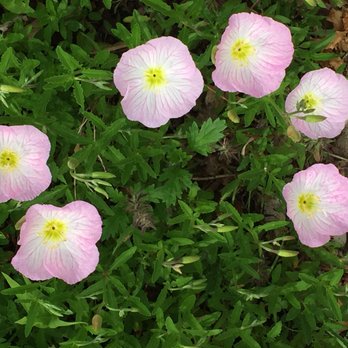 ANITA B GORMAN DISCOVERY CENTER - Updated August 2025 - 149 Photos & 16