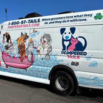 Matts Detailing  - Mobile Dog Grooming in Camarillo - Car Wash Near Me - Oxnard, California