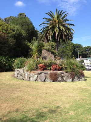 Tahaki Reserve by null