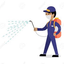 Active Pest Control - pest control Abbotsford