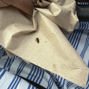 McDonald's - Dead fly - Fast Food Near Me - Camden, South Carolina