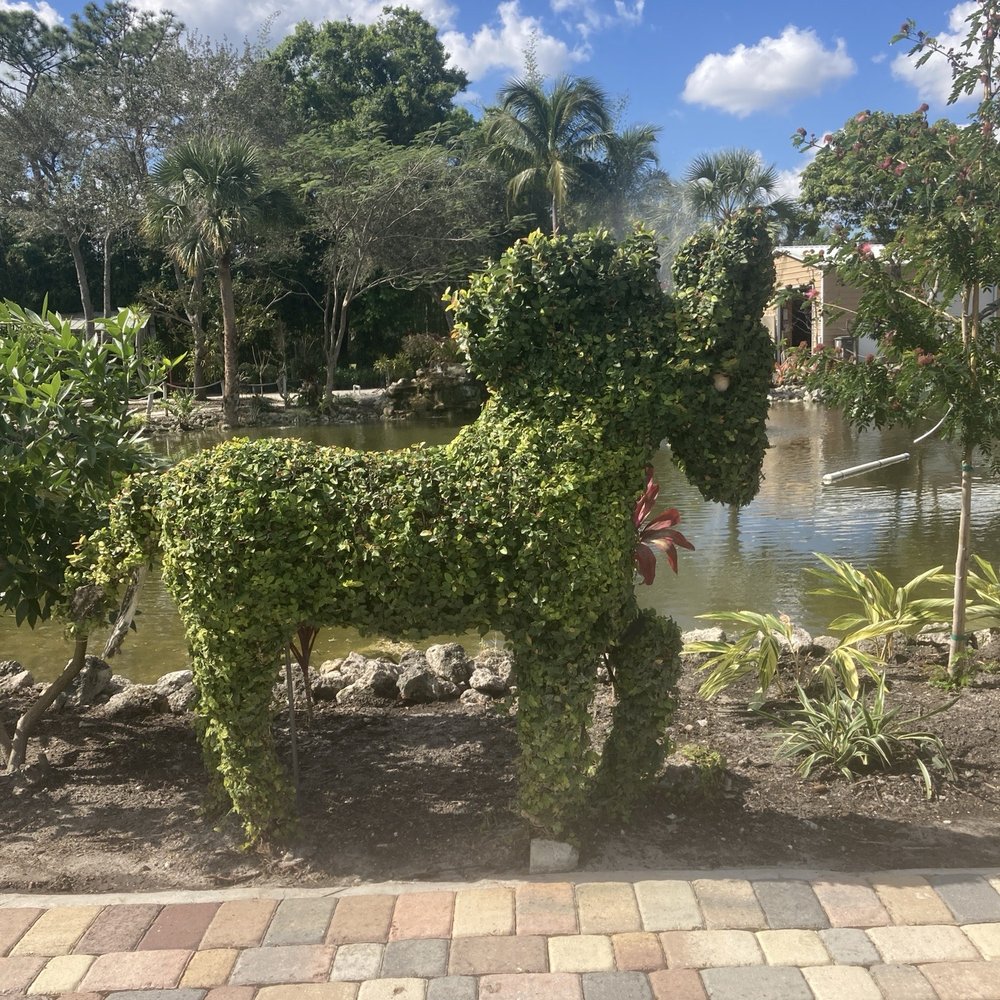 Jupiter Farms Nursery - a dog made out of plants - Landscaping Near Me - Jupiter, Florida Jupiter Farms Nursery - a dog made out of plants - Landscaping Near Me - Jupiter, Florida