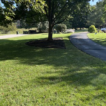 Acres Tree Service - Entire mulch area was full of tree and bush clippings. They removed it all and cleaned it up. - Tree Services Near Me - Cincinnati, Ohio Acres Tree Service - Entire mulch area was full of tree and bush clippings. They removed it all and cleaned it up. - Tree Services Near Me - Cincinnati, Ohio