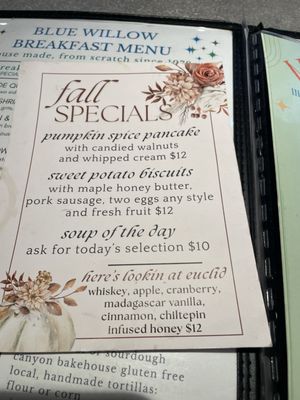 Menu photo 4 Blue Willow Restaurant & Gift Shop Tucson, AZ