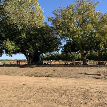 Bishop's Pumpkin Farm - Christmas Trees Near Me - Wheatland, California Bishop's Pumpkin Farm - Christmas Trees Near Me - Wheatland, California