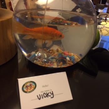 Kimpton Hotel Monaco Seattle - Vicky the goldfish - Hotels Near Me - Seattle, Washington Kimpton Hotel Monaco Seattle - Vicky the goldfish - Hotels Near Me - Seattle, Washington