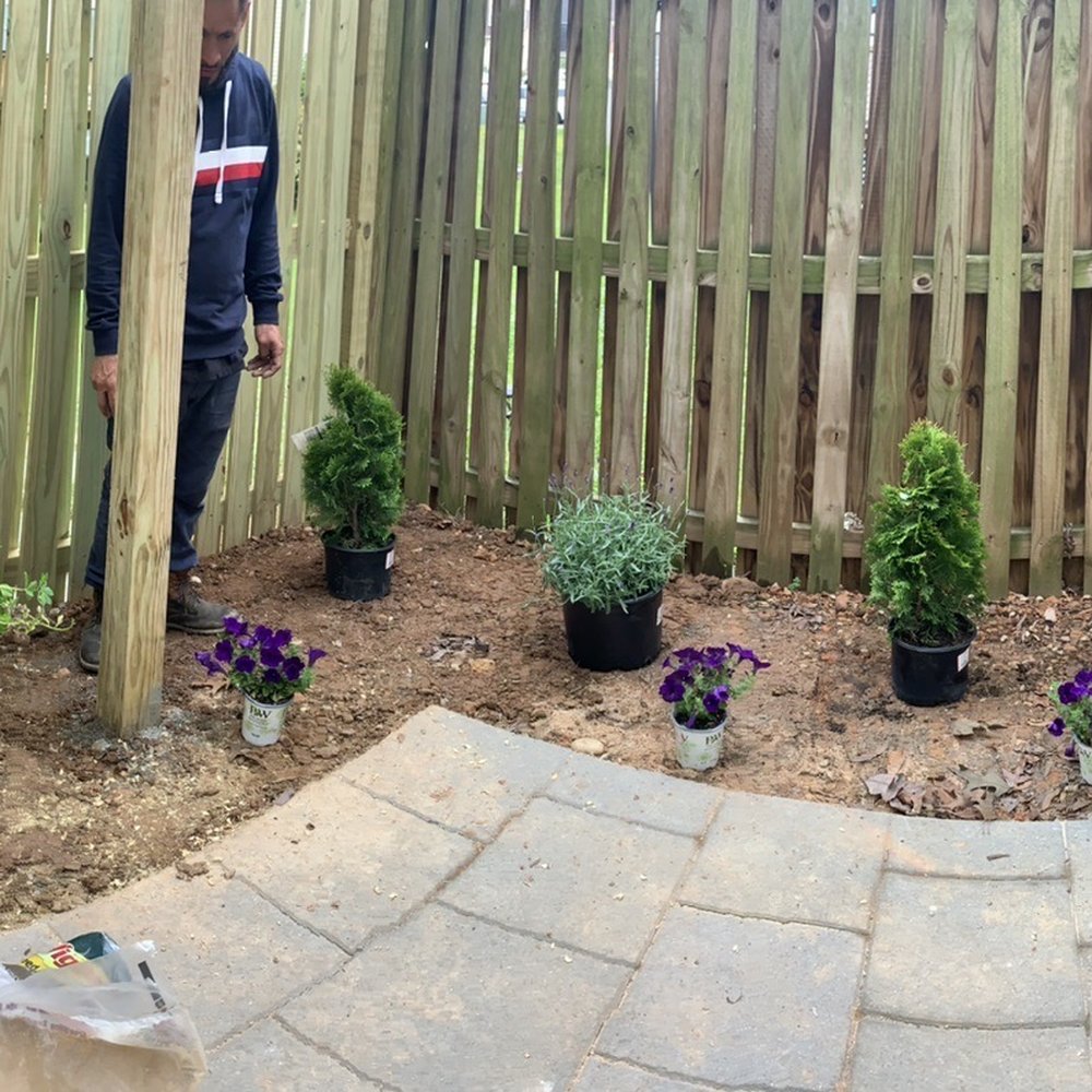 P e s Landscaping and construction - Plants Loading.... - Landscaping Near Me - Jessup , Maryland P e s Landscaping and construction - Plants Loading.... - Landscaping Near Me - Jessup , Maryland