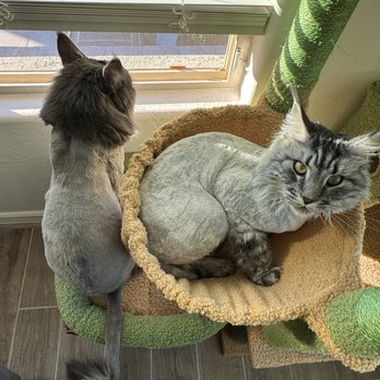 PetSmart - Orion and Lucy - Pet Stores Near Me - Phoenix, Arizona
