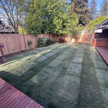 Saltos Landscaping - backyard with new sod grass and fence - Irrigation Near Me Saltos Landscaping - backyard with new sod grass and fence - Irrigation Near Me