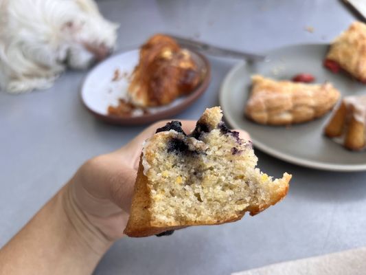 Tartine Silver Lake by null