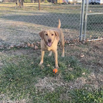 Paws & Claws Pet Sitting - Pet Sitting Near Me