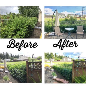 SR Lawn & Tree Care - Bush Trimming - Tree Services Near Me SR Lawn & Tree Care - Bush Trimming - Tree Services Near Me