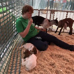 The newborn baby goats!! 2nd Annual NuLu Bock and Beer Fest!! The newborn baby goats!! 2nd Annual NuLu Bock and Beer Fest!!