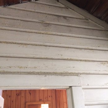 Tallwood Motel - DO NOT GO!!!! PLACE IS A DUMP!!!! - Hotels Near Me - Wells, Maine Tallwood Motel - DO NOT GO!!!! PLACE IS A DUMP!!!! - Hotels Near Me - Wells, Maine