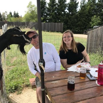 GoatHouse Brewing Co - Getting to know a new friend. - Breweries Near Me - Lincoln, California GoatHouse Brewing Co - Getting to know a new friend. - Breweries Near Me - Lincoln, California