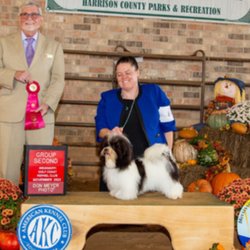 Forever Poodles & Honor Havanese