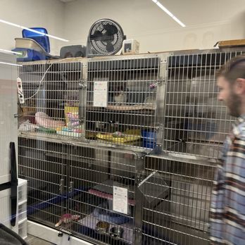 PetSmart - Butterbean adoption day! - Pet Training Near Me - Cheektowaga, New York PetSmart - Butterbean adoption day! - Pet Training Near Me - Cheektowaga, New York
