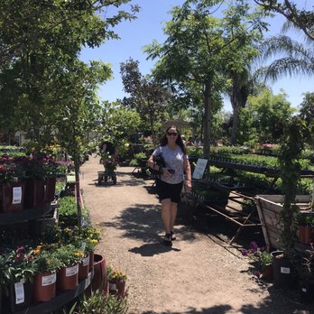 Bolles Nursery Landscape - Vegetables - Nurseries & Gardening Near Me - Bakersfield, California Bolles Nursery Landscape - Vegetables - Nurseries & Gardening Near Me - Bakersfield, California