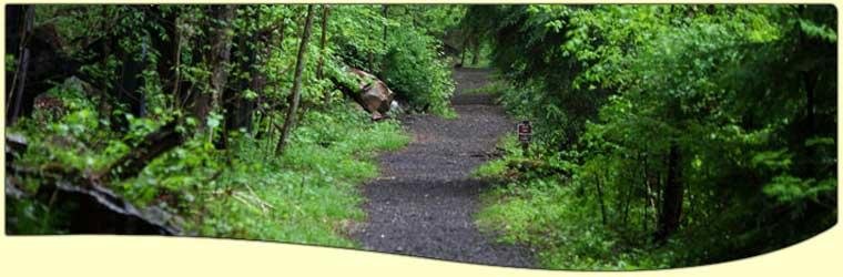 Claudia McGrath Counseling - grief counselor in Asheville, NC