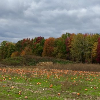 Blake's Orchard & Cider Mill - Pumpkin Patch - Fruits & Veggies Near Me - Armada, Michigan
