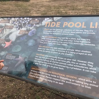 Abalone Cove Park - Parks Near Me - Rancho Palos Verdes, California