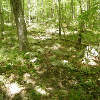 Escoheag Trail - Hiking Near Me - Exeter, Rhode Island