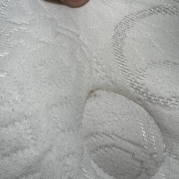 The Lakefront Anchorage - Bed bugs!!! - Hotels Near Me - Anchorage, Alaska The Lakefront Anchorage - Bed bugs!!! - Hotels Near Me - Anchorage, Alaska