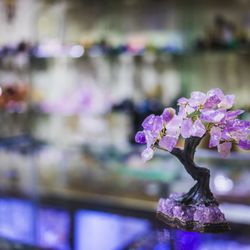 Crystalis Treasures - Gem Trees in All Sizes. Amethyst is good for sleep, stress relief and health.