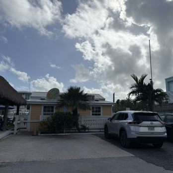 What The Fish Rolls - Seafood Near Me - Tavernier, Florida What The Fish Rolls - Seafood Near Me - Tavernier, Florida