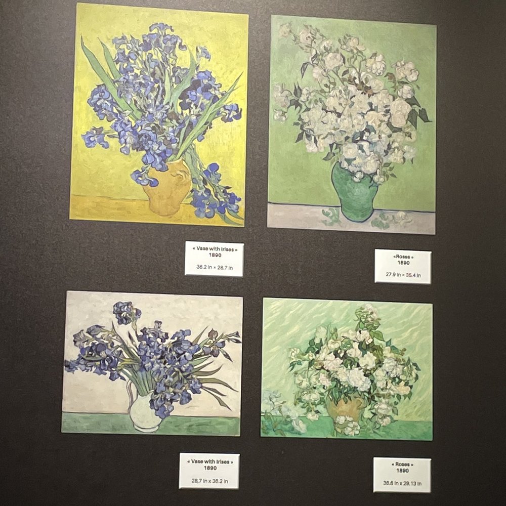 Van Gogh: The Immersive Experience - Art Galleries Near Me - Arlington, Texas