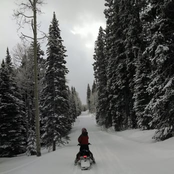 Electric Mountain Lodge - Trail to lodge. - Resorts Near Me - Paonia, Colorado