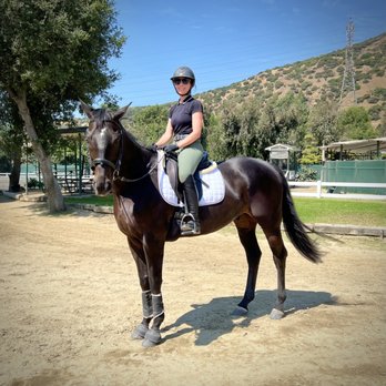 Reflection Dressage - Horseback Riding Near Me Reflection Dressage - Horseback Riding Near Me