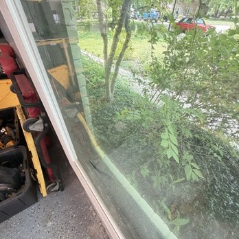 Corner Window Cleaning - Bush blocking window - Window Washing Near Me
