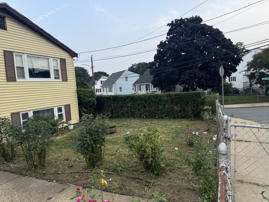 Landscaping Help - We come to you and give you an estimate on your yard. Then you would hire us to do all your landscaping needs. Landscaping Help - We come to you and give you an estimate on your yard. Then you would hire us to do all your landscaping needs.