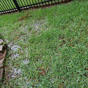 Fry Home Inspection - Home Inspectors Near Me - Houston, Texas Fry Home Inspection - Home Inspectors Near Me - Houston, Texas