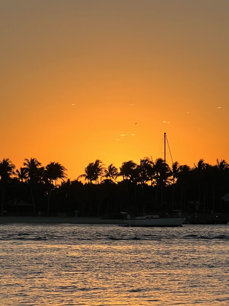 Sailfish Marina