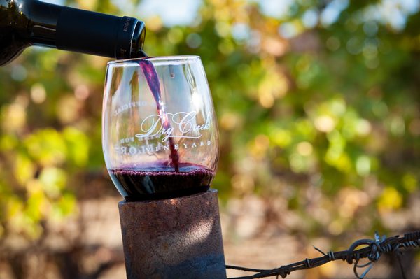 Dry Creek Vineyard by null