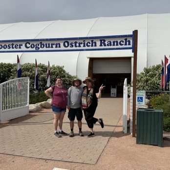 Rooster Cogburn Ostrich Ranch - A must stop - Petting Zoos Near Me - Picacho, Arizona Rooster Cogburn Ostrich Ranch - A must stop - Petting Zoos Near Me - Picacho, Arizona