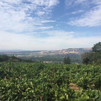 Hanzell Vineyards - Amazing view. - Wineries Near Me - Sonoma, California Hanzell Vineyards - Amazing view. - Wineries Near Me - Sonoma, California