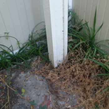 Handyman Staff - The other post - Handyman Near Me