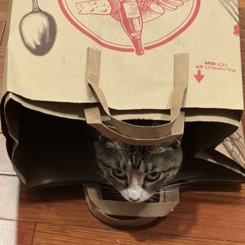 Trader Joe's - Trader Joe's bags never go to waste.  Luna sure loves them! - Grocery Near Me - University Place, Washington