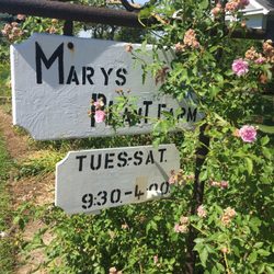 Mary's Plant Farm & Landscpg - Don't miss the sign! Park at the church.