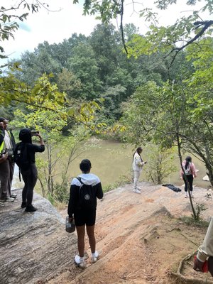 Sweetwater Creek State Park by null