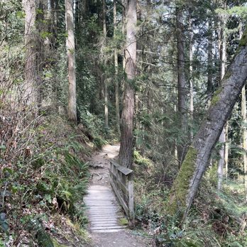 Burnaby Mountain Trail - Hiking Near Me - Burnaby, British Columbia